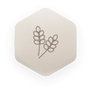 Premium Ingredients, Experiential Results