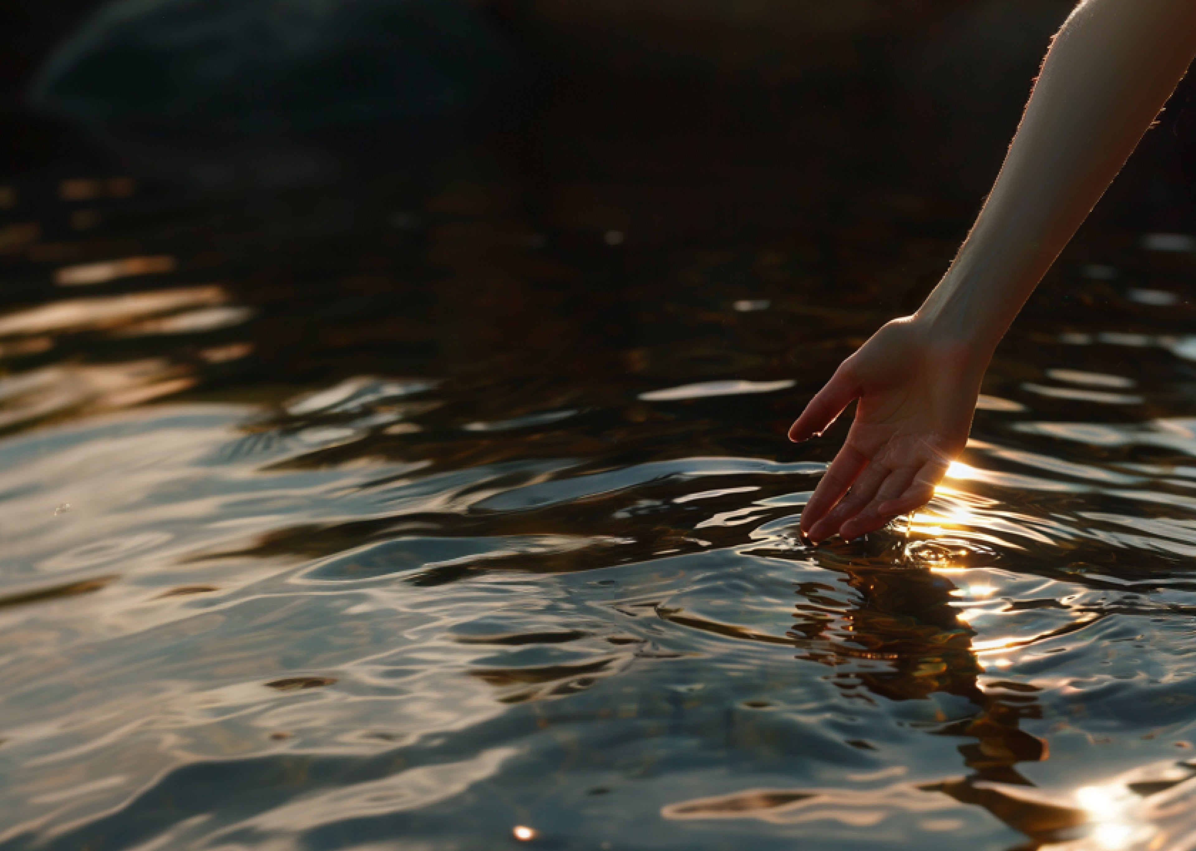 Unlock Your Inner Peace: My Story Behind the ZEN Formula