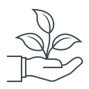 Premium Natural Ingredients